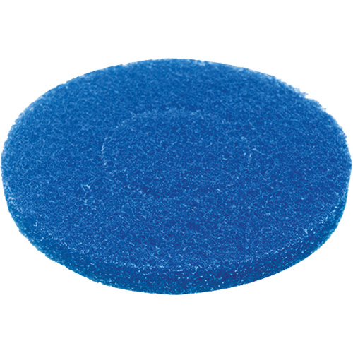 Floor Pad, Cleaning, Blue Distribution Industrielle GC