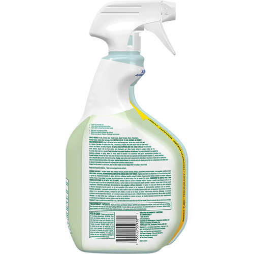 Nettoyant d&eacute;sinfectant CloroxPro Clorox EcoClean, 946 ml, Bouteille &agrave; g&acirc;chette Distribution Industrielle GC