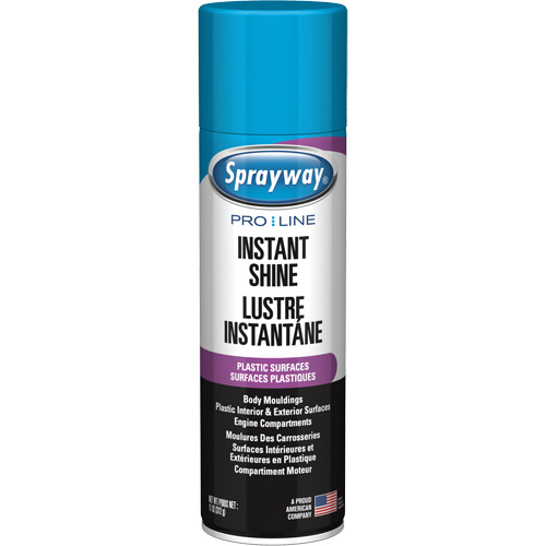 Brillant instantan&eacute; Pro Line pour surfaces en plastique, 11 oz, Canette a&eacute;rosol Distribution Industrielle GC