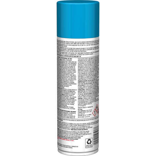 Brillant instantan&eacute; Pro Line pour surfaces en plastique, 11 oz, Canette a&eacute;rosol Distribution Industrielle GC