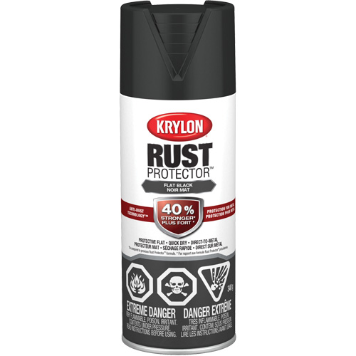 Peinture &agrave; &eacute;mail Rust Protector, Noir, Tr&egrave;s mat, 12 oz, Canette a&eacute;rosol Distribution Industrielle GC