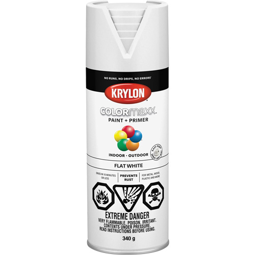 Appr&ecirc;t + peinture COLORmaxx, Blanc, Tr&egrave;s mat, 12 oz, Canette a&eacute;rosol Distribution Industrielle GC