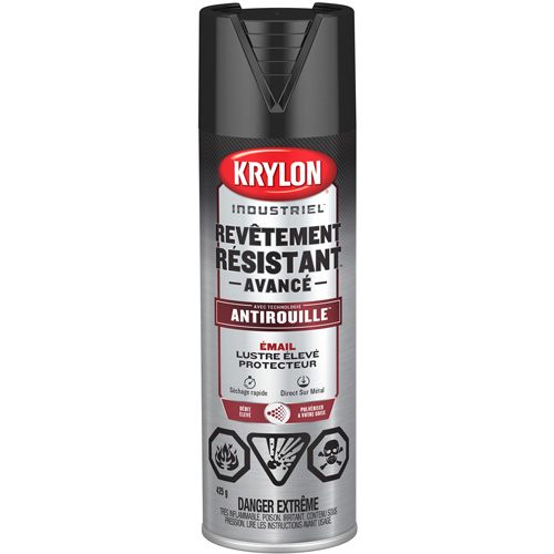 Tough Coat&reg; Advanced Paint with Rust Barrier Technology, Black, High-Gloss, 425 g, Aerosol Can Distribution Industrielle GC