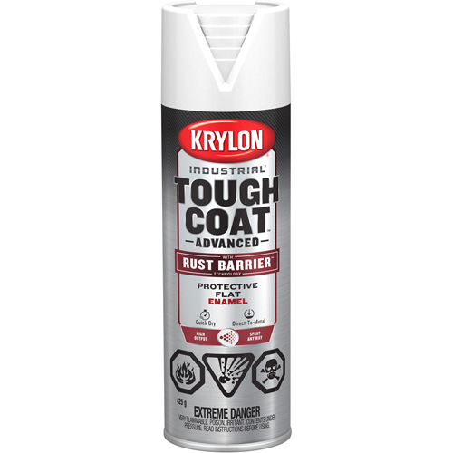 Tough Coat&reg; Advanced Paint with Rust Barrier Technology, White, Flat, 425 g, Aerosol Can Distribution Industrielle GC