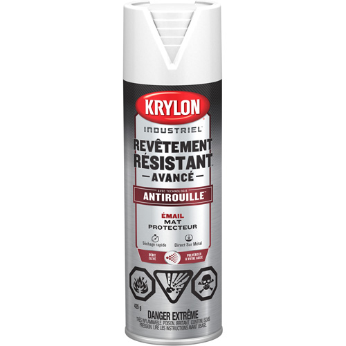 Tough Coat&reg; Advanced Paint with Rust Barrier Technology, White, Flat, 425 g, Aerosol Can Distribution Industrielle GC