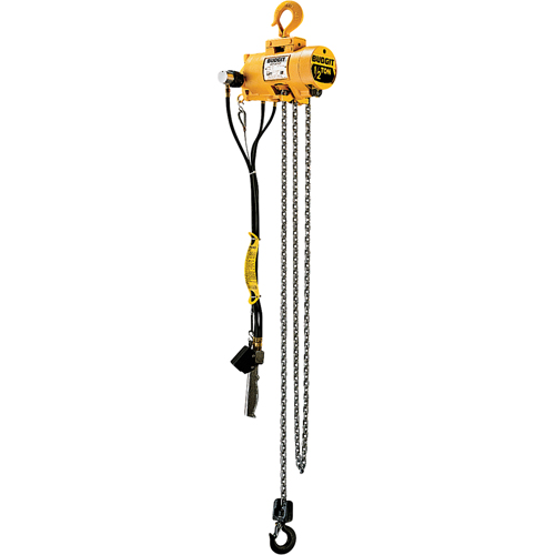 Budgit&reg; Air Chain Hoists Distribution Industrielle GC