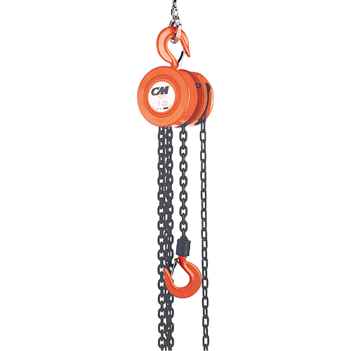 Chain Hoist, 20' Lift, 1000 lbs. (0.5 tons) Capacity, Steel Chain Distribution Industrielle GC