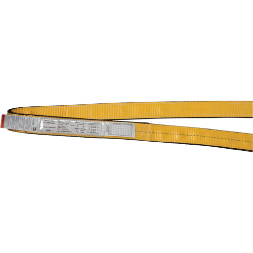 Polyester Slings, Single Ply, Endless, Type 5, 3" W x 3' L, 9400 lbs. Vertical Cap. Distribution Industrielle GC