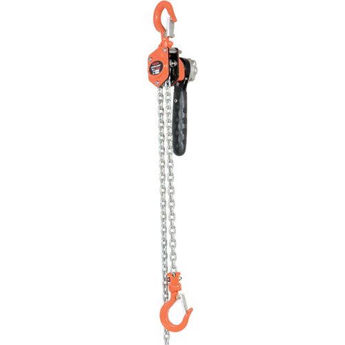 Mini palan &agrave; levier, Lev&eacute;e 10', Cabacit&eacute; 500 lb (0,25 tonne), Chaîne en Acier Distribution Industrielle GC