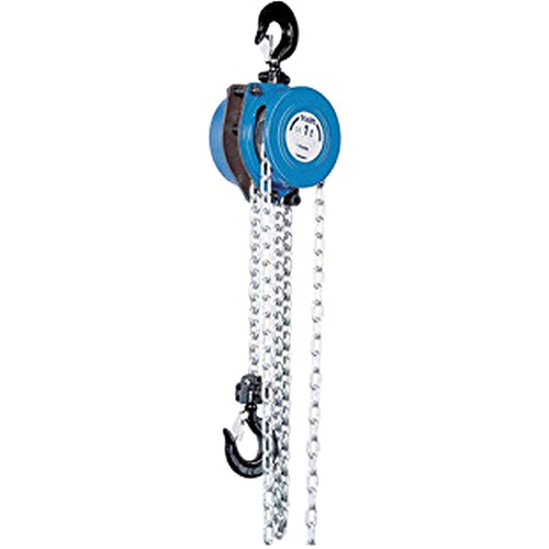 Tralift&reg; Manual Chain Hoist, 10' Lift, 4000 lbs. (2 tons) Capacity, Grade 80 Chain Distribution Industrielle GC