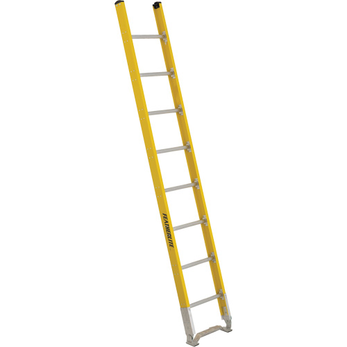 Single Section Straight Ladder - 6100 Series, 8', Fibreglass, 375 lbs., CSA Grade 1AA Distribution Industrielle GC