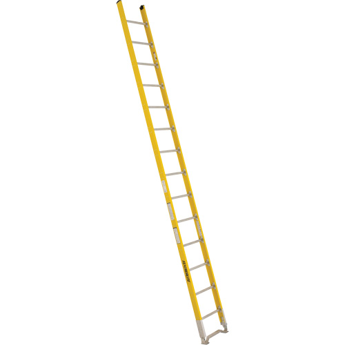Single Section Straight Ladder - 6100 Series, 14', Fibreglass, 375 lbs., CSA Grade 1AA Distribution Industrielle GC