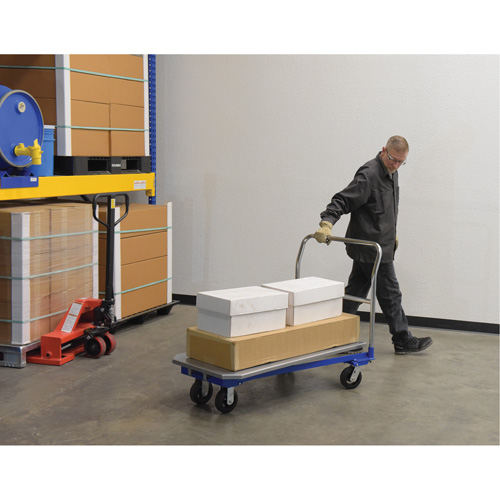 Platform Cart, 48" L x 24" W, 1500 lbs. Capacity, Mold-on Rubber Casters Distribution Industrielle GC