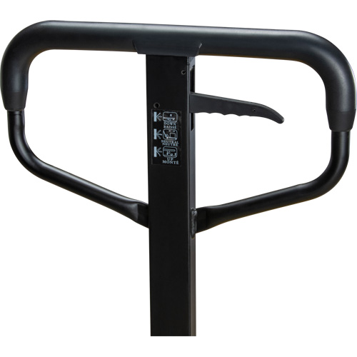 Steel Wheel Pallet Truck, Steel, 48" L x 27" W, 5500 lbs. Capacity Distribution Industrielle GC