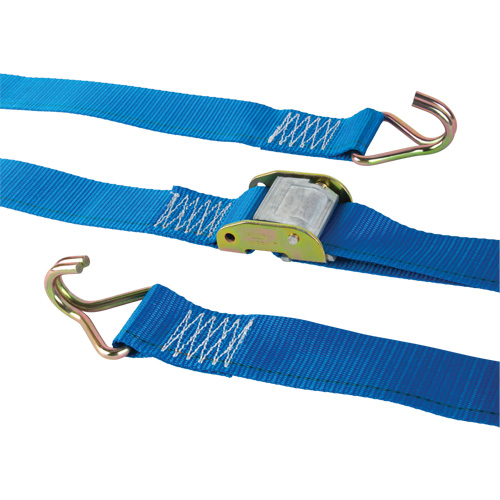 Logistic Strap, Cam Buckle, 2" W x 20' L, 500 lbs. (227 kg) WLL Distribution Industrielle GC