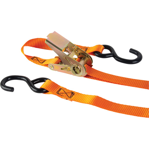 Tendeur d'arrimage &agrave; cliquet, Crochet en S, 12' , 1" , Charge d'utilisation max. 2200 lb (998 kg) Distribution Industrielle GC