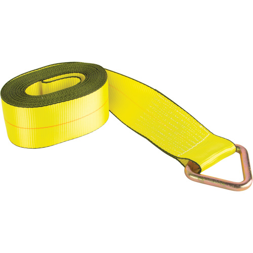 Logistic Strap, Delta Ring, 30' W x 4" L, 5400 lbs. (2449 kg) Working Load Limit Distribution Industrielle GC