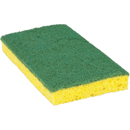 &eacute;ponge &agrave; r&eacute;curer pour travaux moyens Scotch-Brite, &agrave; r&eacute;curer, 3-3/5" la x 6-1/10" l Distribution Industrielle GC