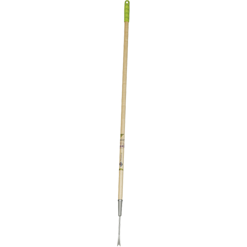 Dandelion Weeder Distribution Industrielle GC