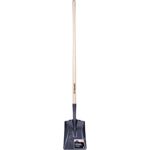 Pelle carr&eacute;e  Pro, Bois, Lame Acier durci, Manche en Droit, Longueur 48" Distribution Industrielle GC