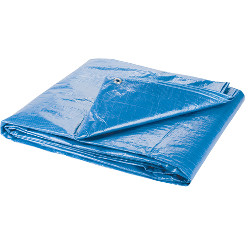 B&acirc;che, Standard, Bleu, 7' x 5' x 4 mils Distribution Industrielle GC