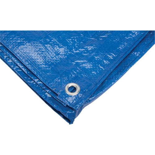B&acirc;che, Standard, Bleu, 7' x 5' x 4 mils Distribution Industrielle GC