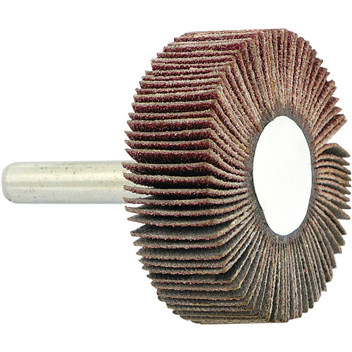 Shaft Mounted Flapwheel, 80 Grit, 1-1/2" x 1/2" x 1/4" Distribution Industrielle GC