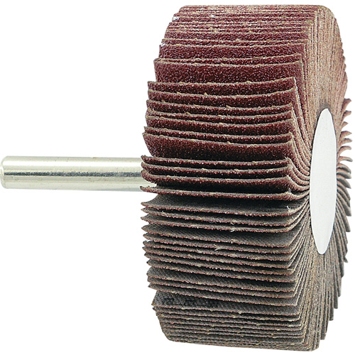 Mounted Flapwheel, 80 Grit, 2-1/2" x 1" x 1/4" Distribution Industrielle GC