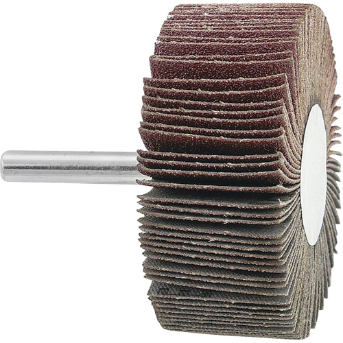 Disque &agrave; lamelles mont&eacute;, Grain 120, 2-1/2" x 1" x 1/4" Distribution Industrielle GC