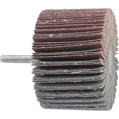 Mounted Flapwheel, 60 Grit, 3" x 1" x 1/4" Distribution Industrielle GC