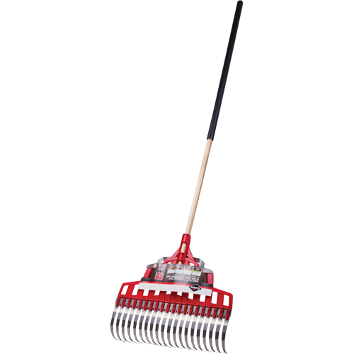 Multi-Purpose Lawn Rake, 20" Blade, 20 Tines, Hardwood Handle, Steel Blade Distribution Industrielle GC
