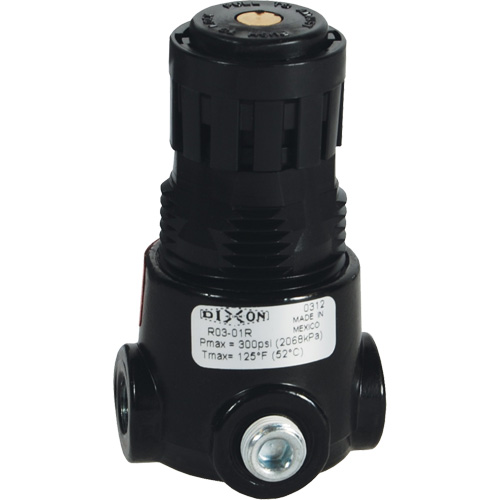 R&eacute;gulateur miniature R03 Wilkerson, 1/8" NPT, PSI max. de 300 psi, Standard Distribution Industrielle GC