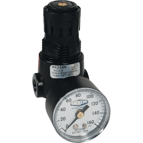 R&eacute;gulateur miniature R04 Wilkerson, 1/4" NPT, PSI max. de 300 psi, Standard Distribution Industrielle GC