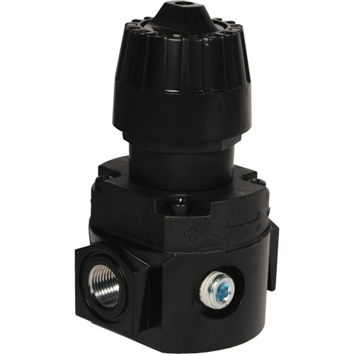 Wilkerson Compact Regulator R16, 1/4" NPT, 300 psi Max. PSI, Standard Distribution Industrielle GC