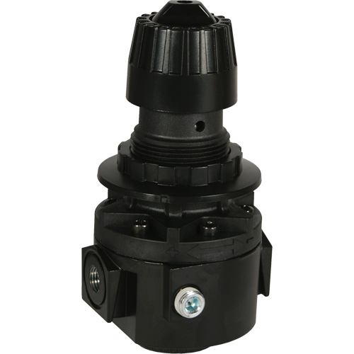 R&eacute;gulateur Wilkerson R26, 3/8" NPT, PSI max. de 300 psi, Standard Distribution Industrielle GC