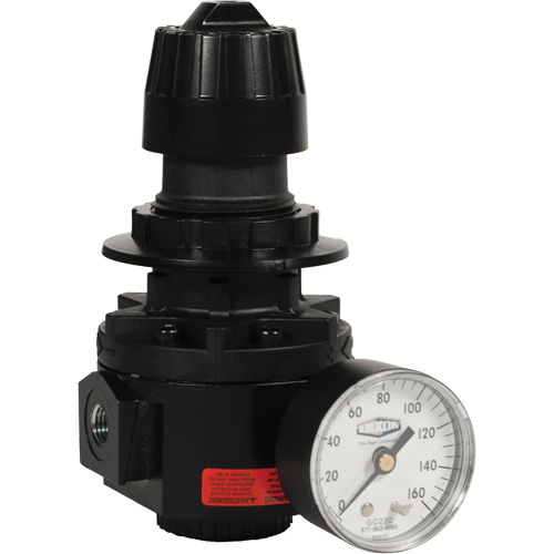 R&eacute;gulateur Wilkerson R26, 1/2" NPT, PSI max. de 300 psi, Standard Distribution Industrielle GC
