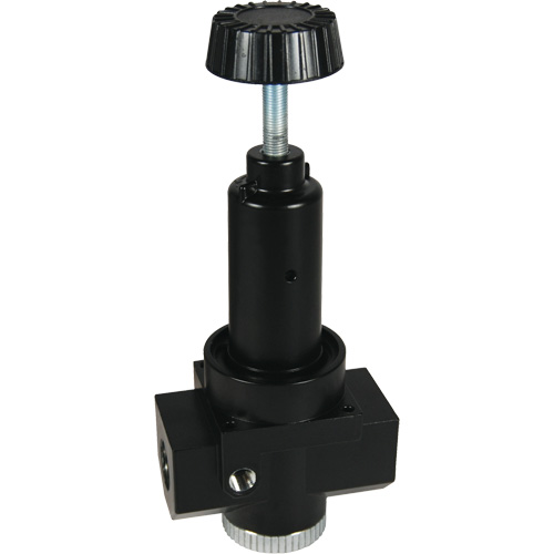 R&eacute;gulateur &agrave; d&eacute;bit &eacute;lev&eacute; R30 Wilkerson, 1" NPT, PSI max. de 300 psi, Standard Distribution Industrielle GC