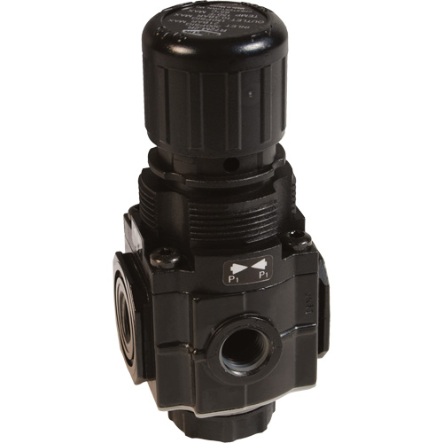 Collecteur de r&eacute;gulateur de s&eacute;rie 1, 1/4" NPT, PSI max. de 150 psi, Standard Distribution Industrielle GC