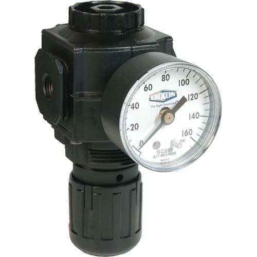 Series 1 Compact Regulator, 1/2" NPT, 150 PSI Max. PSI, Standard Distribution Industrielle GC
