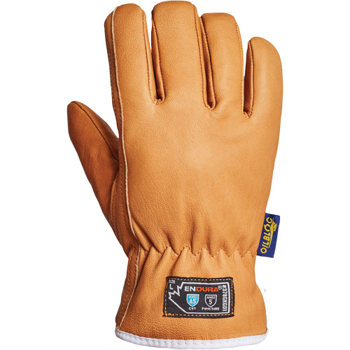 Endura&reg; Gloves, Large, Synthetic Palm, Thinsulate Inner Lining Distribution Industrielle GC