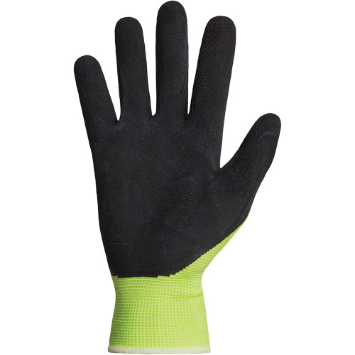 Dexterity&reg; Coated Gloves, 10, Latex Coating, 13 Gauge, Polyester Shell Distribution Industrielle GC