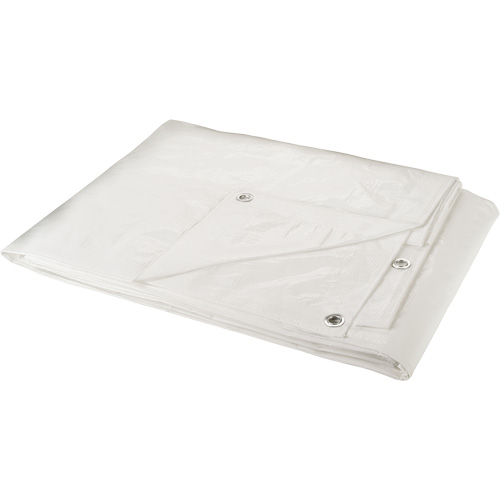 B&acirc;che, Robuste, Blanc, 30' x 20' x 6 mils Distribution Industrielle GC