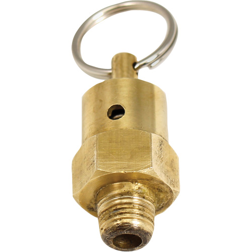 Soupape de rel&acirc;chement de pression Viton Distribution Industrielle GC