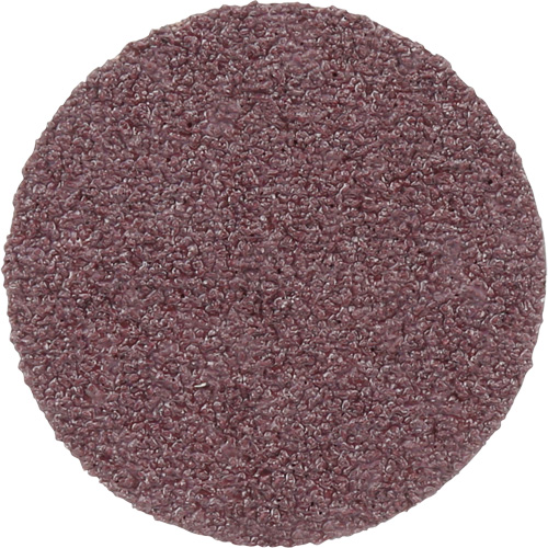 Meule en toile PSA 348D, 20" dia., Grain 60, Oxyde d'aluminium Distribution Industrielle GC