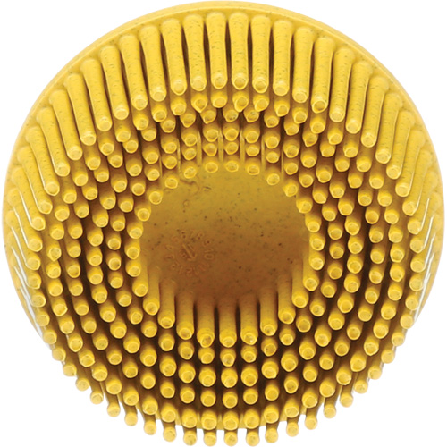 Scotch-Brite Roloc Bristle Disc, Ceramic, Medium Grit, 2" Dia. Distribution Industrielle GC