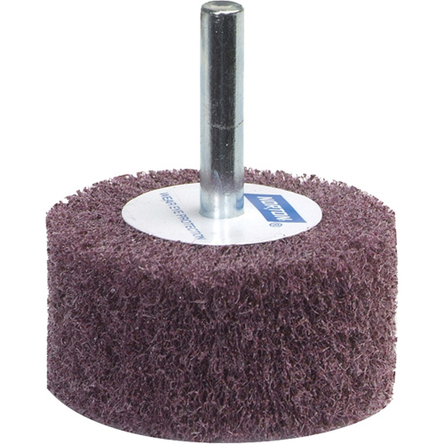 Meule &agrave; lamelles abrasives Bear-Tex Distribution Industrielle GC