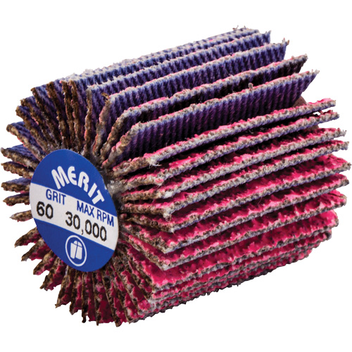Mini-meule &agrave; lamelles filet&eacute;es, C&eacute;ramique d'alumine, Grain 60, 1" x 1" x 1/4"-20 Distribution Industrielle GC