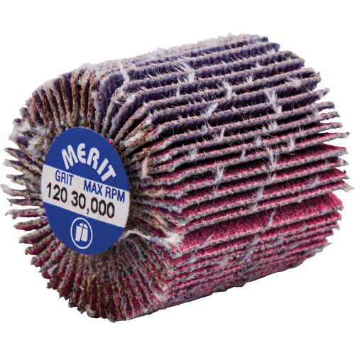 Mini-meule &agrave; lamelles filet&eacute;es, C&eacute;ramique d'alumine, Grain 120, 1" x 1" x 1/4"-20 Distribution Industrielle GC