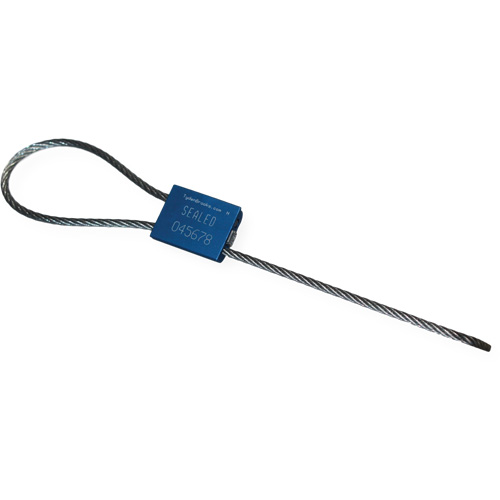 Scell&eacute; de s&eacute;curit&eacute; &agrave; c&acirc;ble Flexsecure FS35, 12", M&eacute;tal, Scell&eacute; &agrave; c&acirc;ble Distribution Industrielle GC