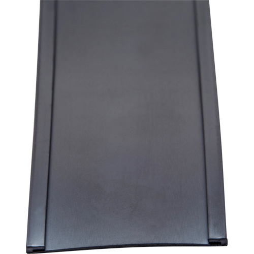 Porte-&eacute;tiquette, Magn&eacute;tique, 600" lo x 2" la Distribution Industrielle GC